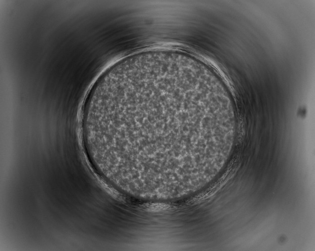 X0000103321235200810171354