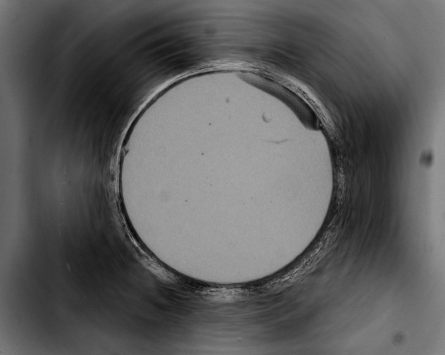 X0000103321236200810171354
