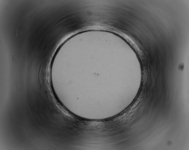 X0000103321238200810171354