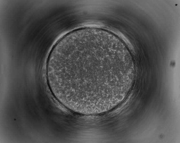 X0000103321240200810171354