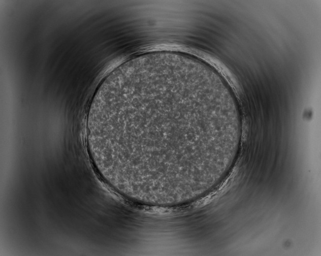 X0000103321241200810171354