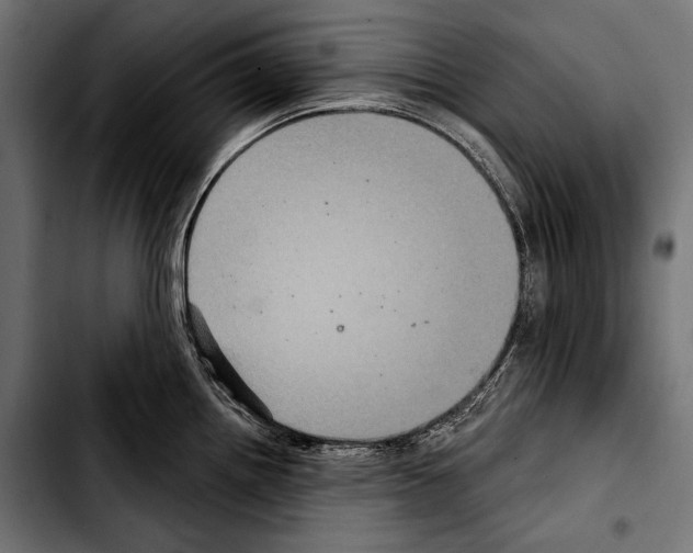 X0000103321242200810171354