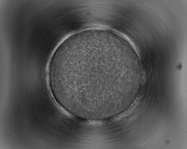 X0000103321243200810171354