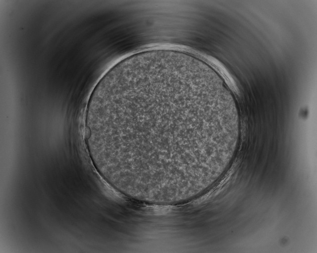 X0000103321244200810171354