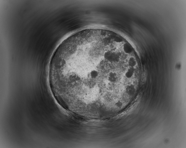 X0000103321245200810171354