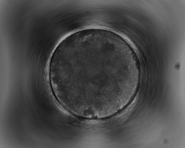 X0000103321246200810171354