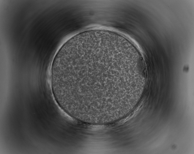 X0000103321247200810171354