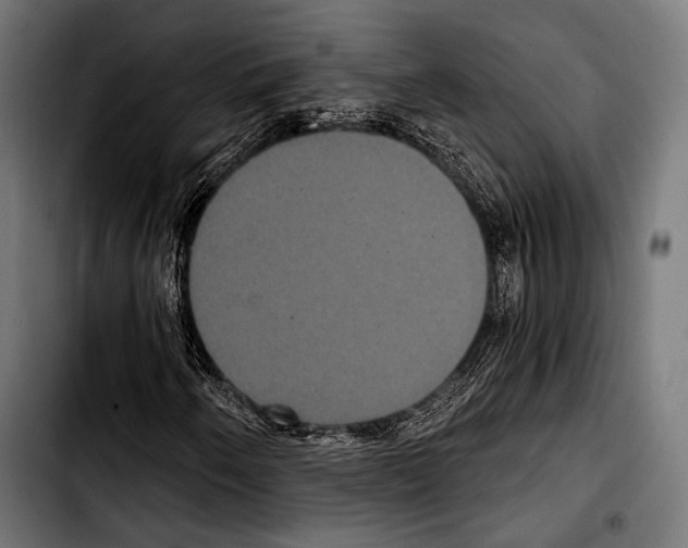 X0000103321250200810171353