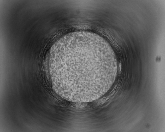 X0000103321251200810171353