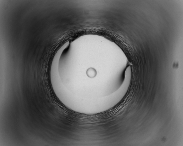 X0000103321252200810171353