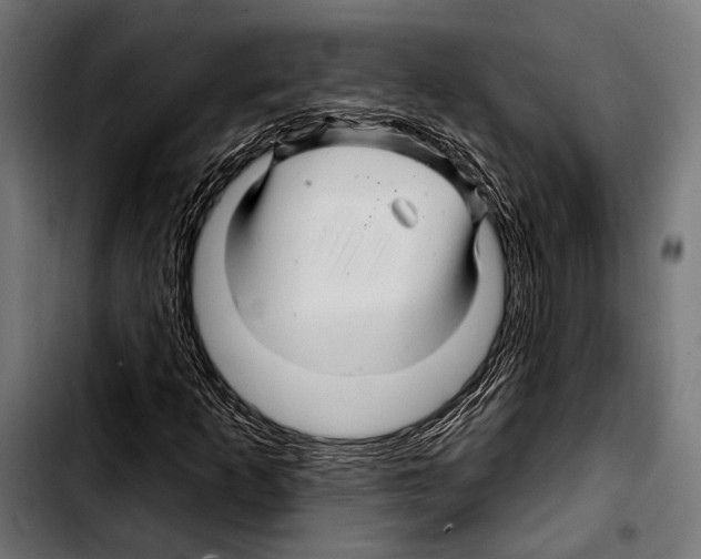 X0000103321253200810171353
