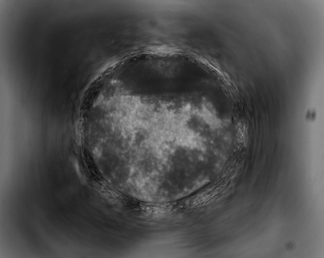 X0000103321254200810171353