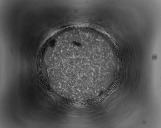 X0000103321255200810171353