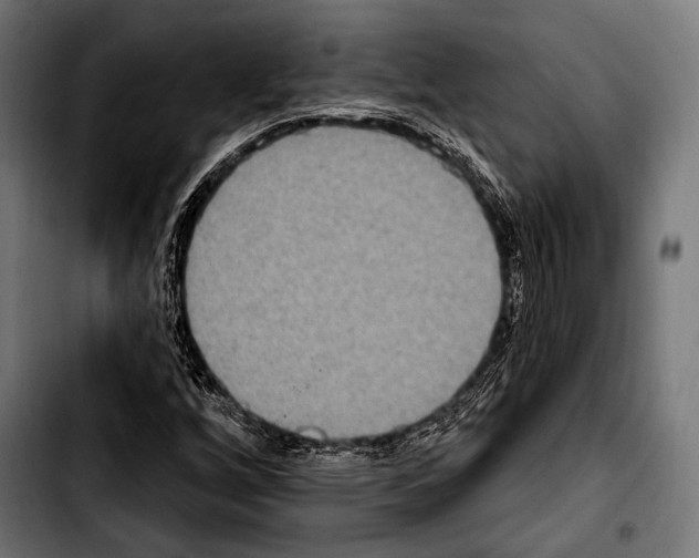 X0000103321256200810171353