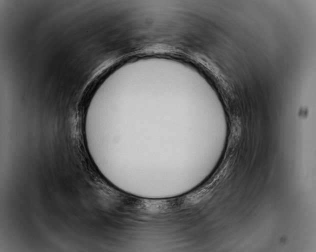 X0000103321258200810171353