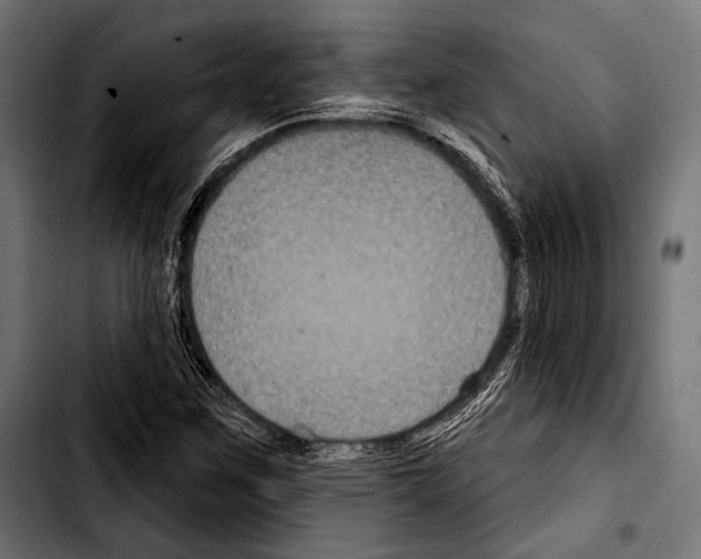 X0000103321259200810171353
