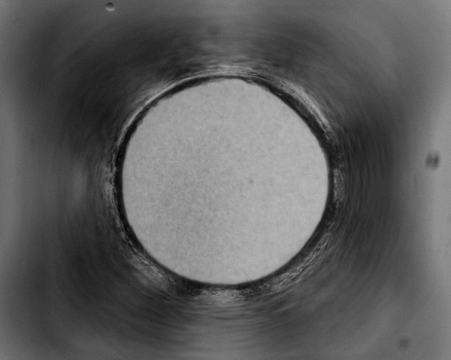 X0000103321260200810171353