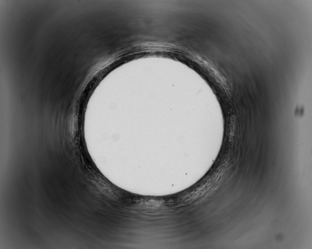 X0000103321261200810171353