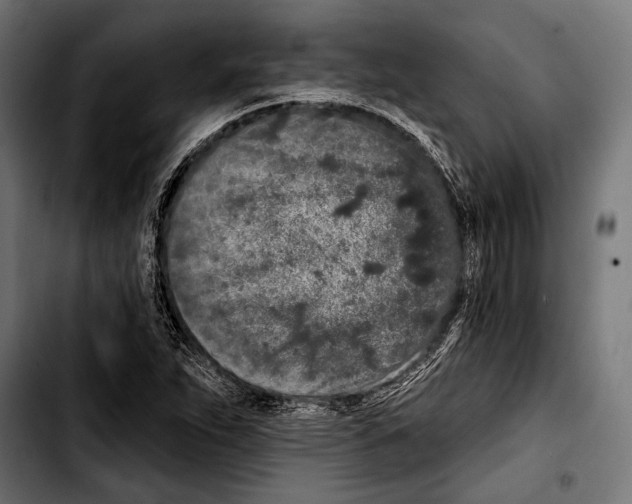 X0000103321263200810171353