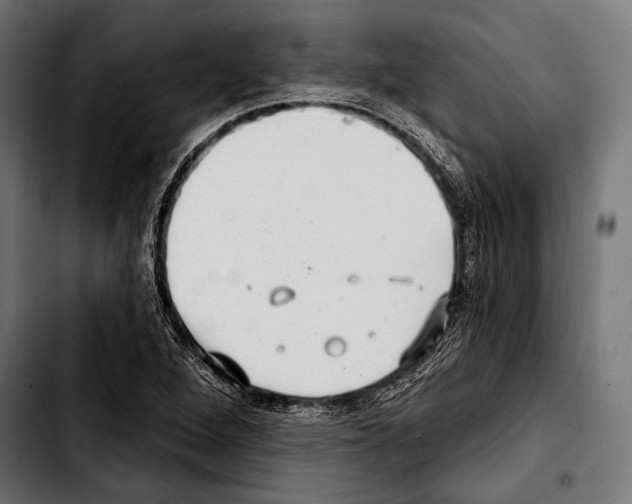 X0000103321264200810171353