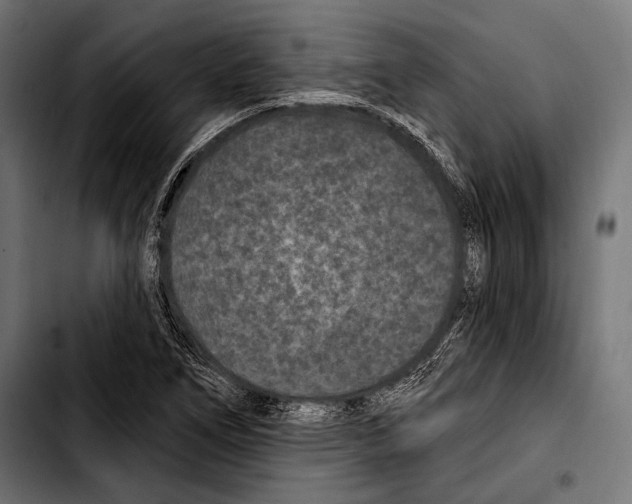 X0000103321266200810171353