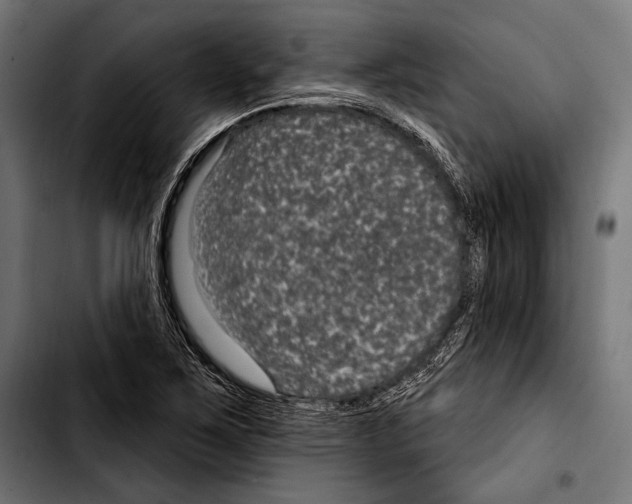 X0000103321267200810171353