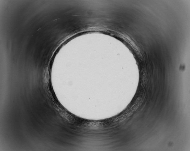 X0000103321268200810171353
