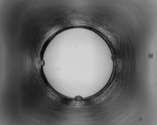 X0000103321269200810171353
