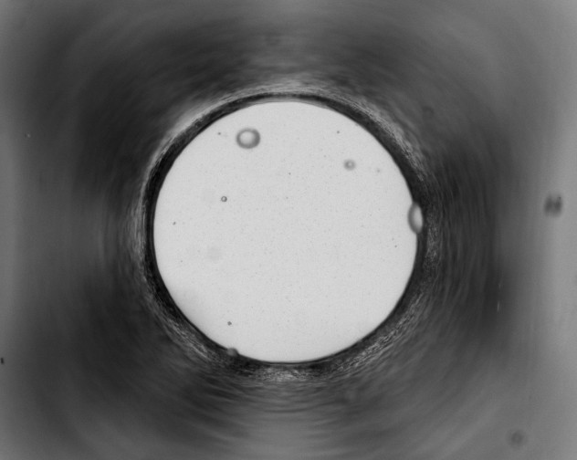 X0000103321270200810171353