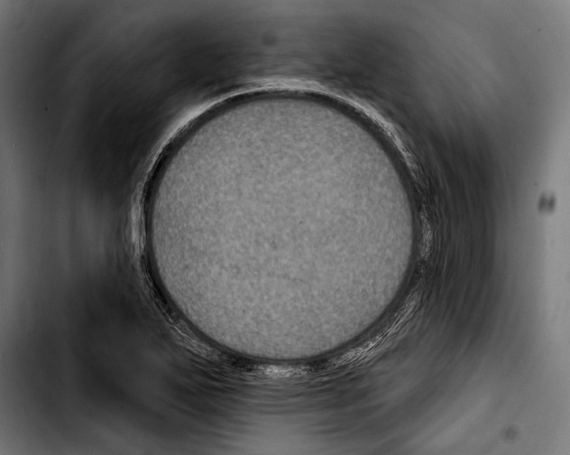 X0000103321271200810171353
