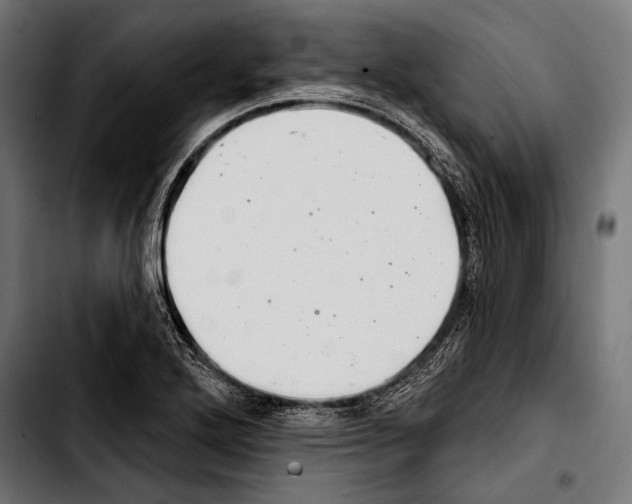 X0000103321272200810171353