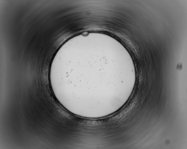 X0000103321273200810171353