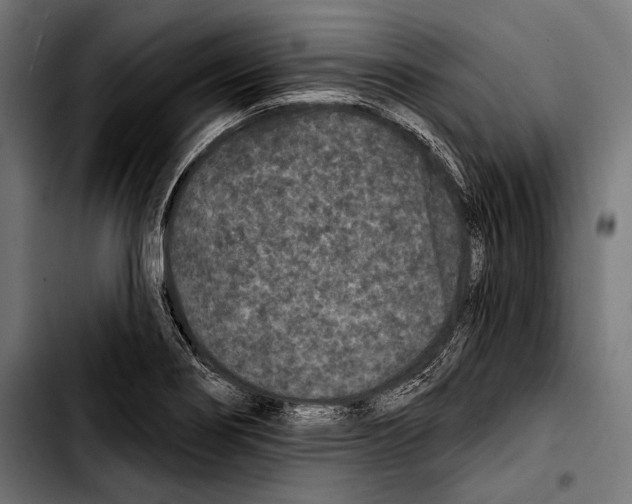 X0000103321274200810171353