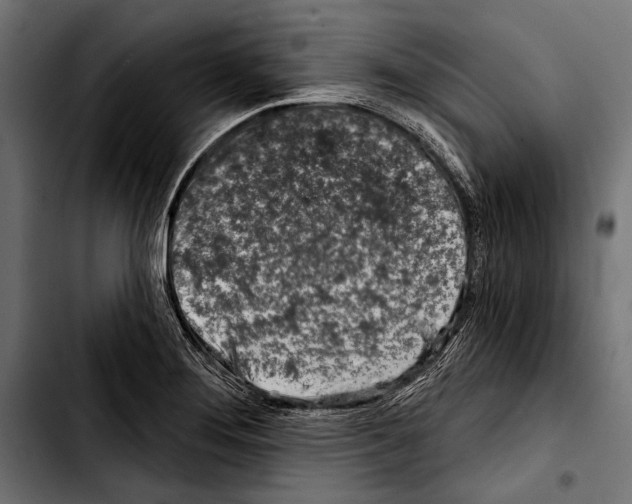 X0000103321276200810171353