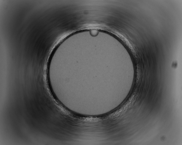 X0000103321277200810171353