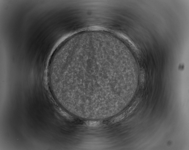 X0000103321278200810171353