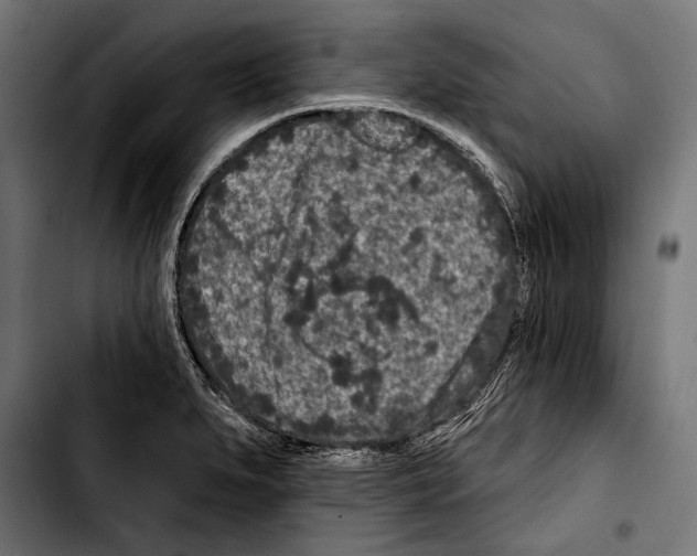 X0000103321279200810171353