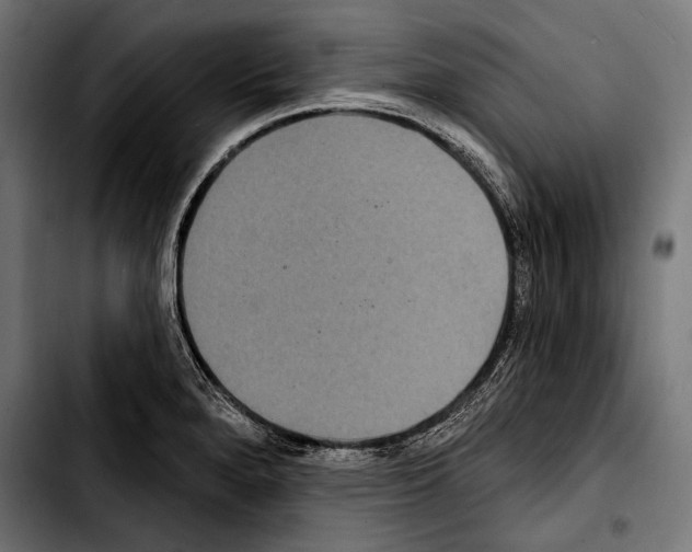 X0000103321280200810171353