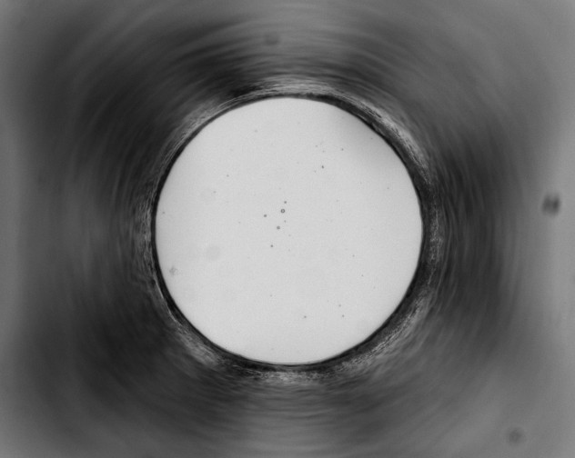 X0000103321281200810171353