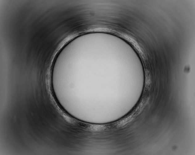X0000103321282200810171353