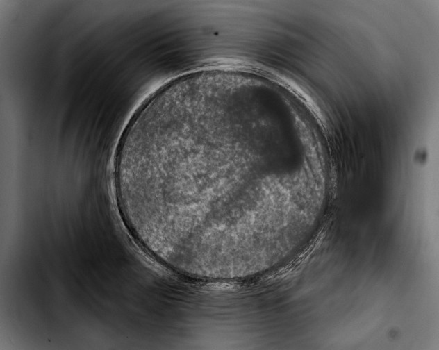 X0000103321283200810171353