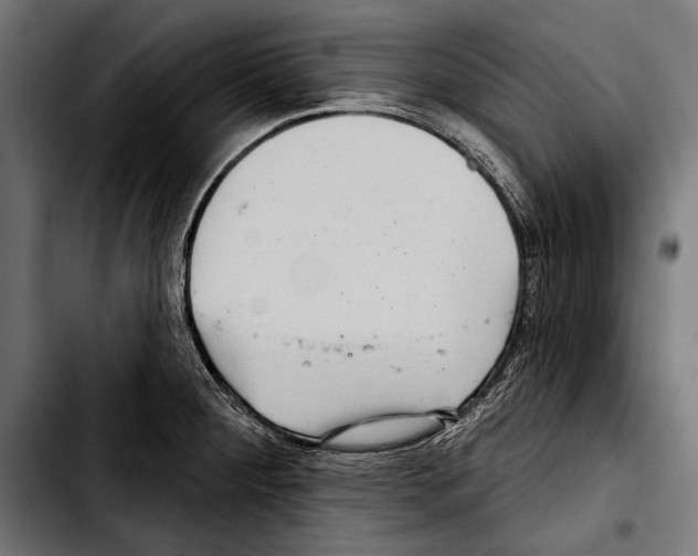 X0000103321284200810171353