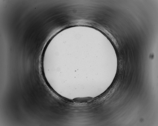 X0000103321285200810171353