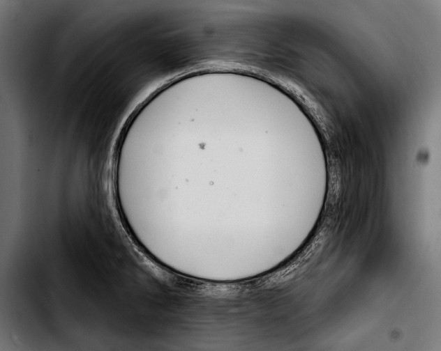 X0000103321286200810171353