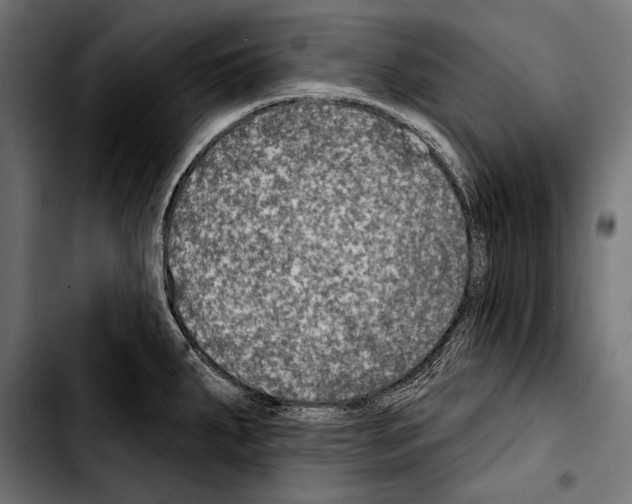 X0000103321287200810171353