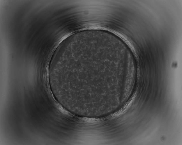 X0000103321289200810171353