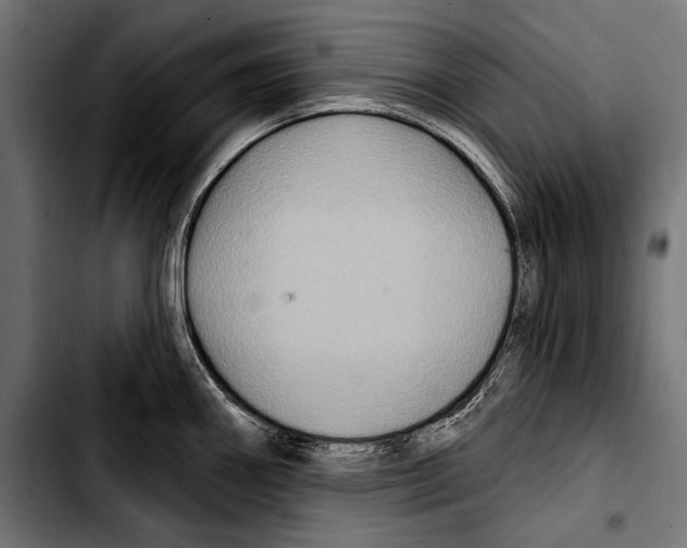 X0000103321290200810171353