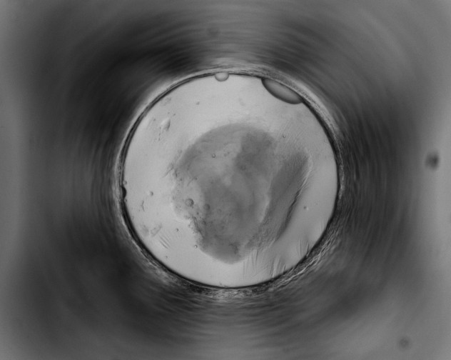 X0000103321291200810171353