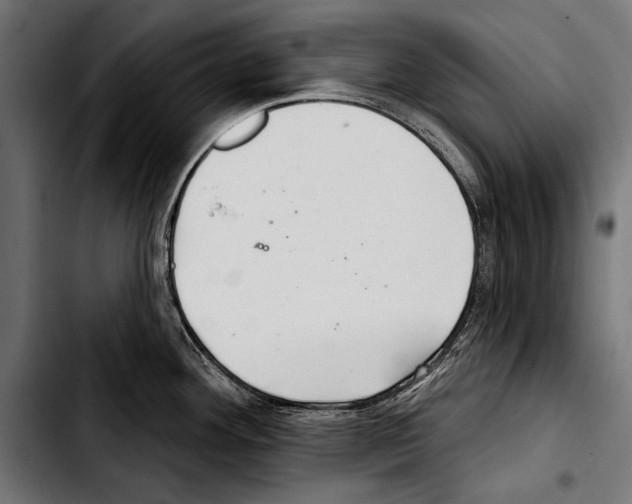 X0000103321292200810171353