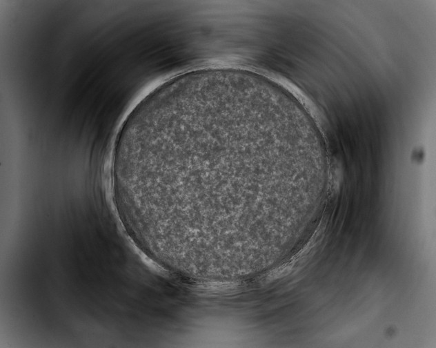 X0000103321294200810171353